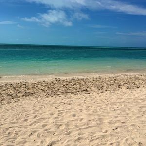 Meet your Posher, Holli